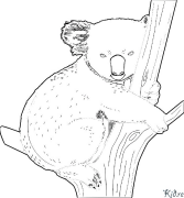 koala Coloring Pages To Print